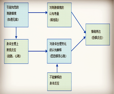 一,基础理论:沙赫特情绪认知理论!