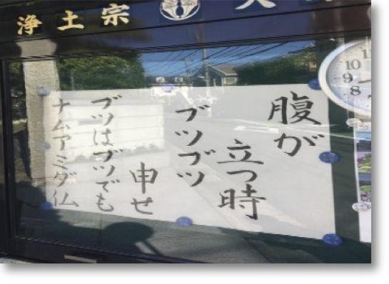 “死之外，皆是擦伤”日本寺庙的标语文案太扎心！
