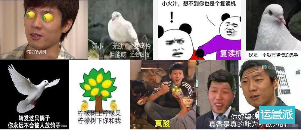 人类“四大本质”使用指南