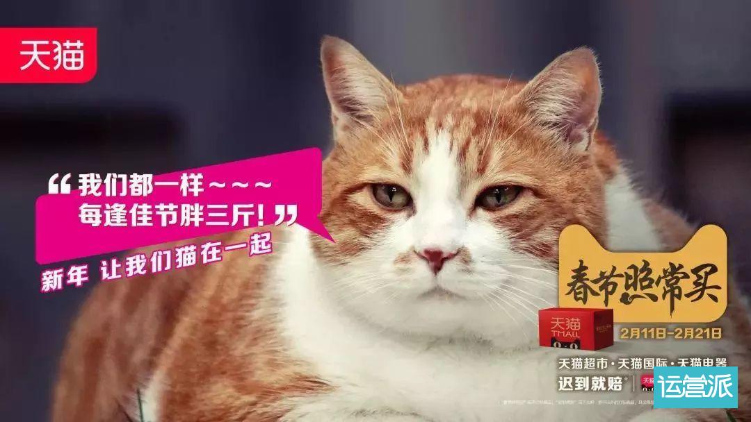 星巴克猫爪杯为什么火？