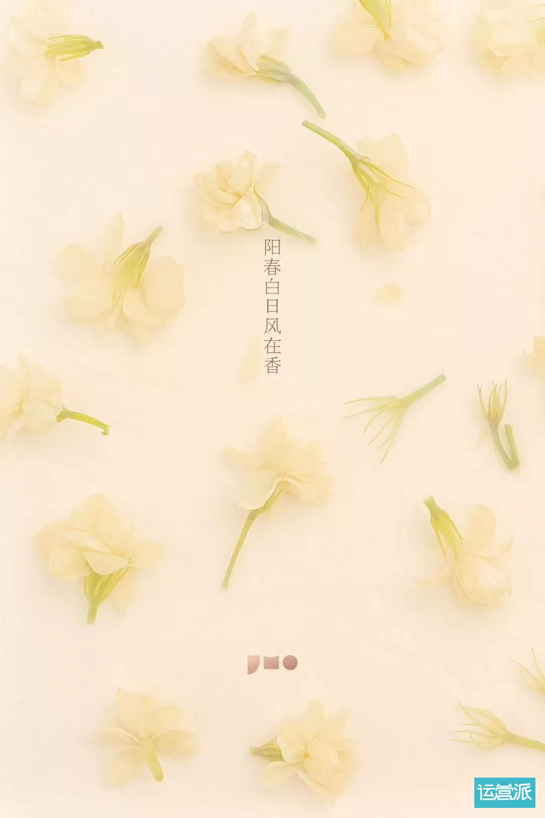 这款蛋糕的文案，比情诗更多一点食欲和治愈