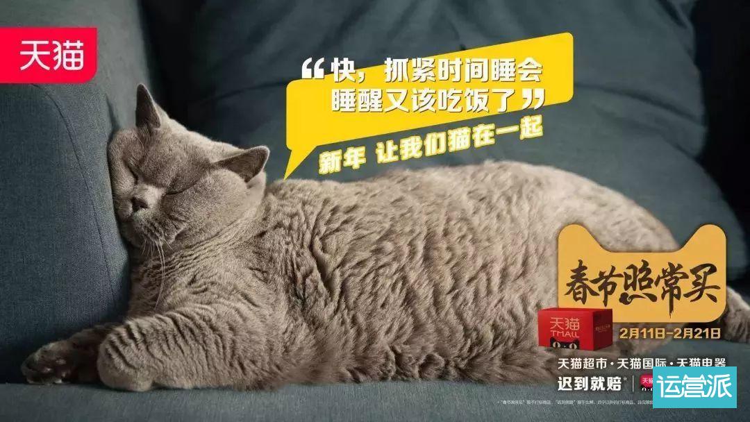 星巴克猫爪杯为什么火？