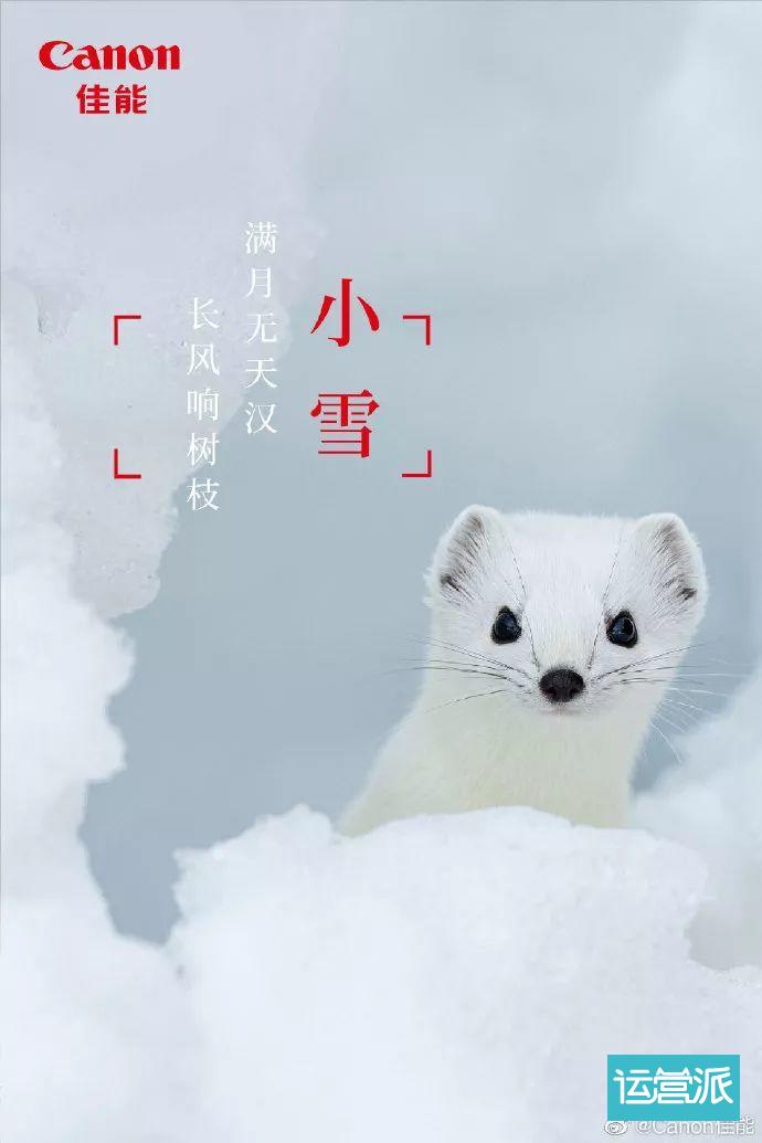 别等下雪了！这份小雪海报合集中的雪更好看