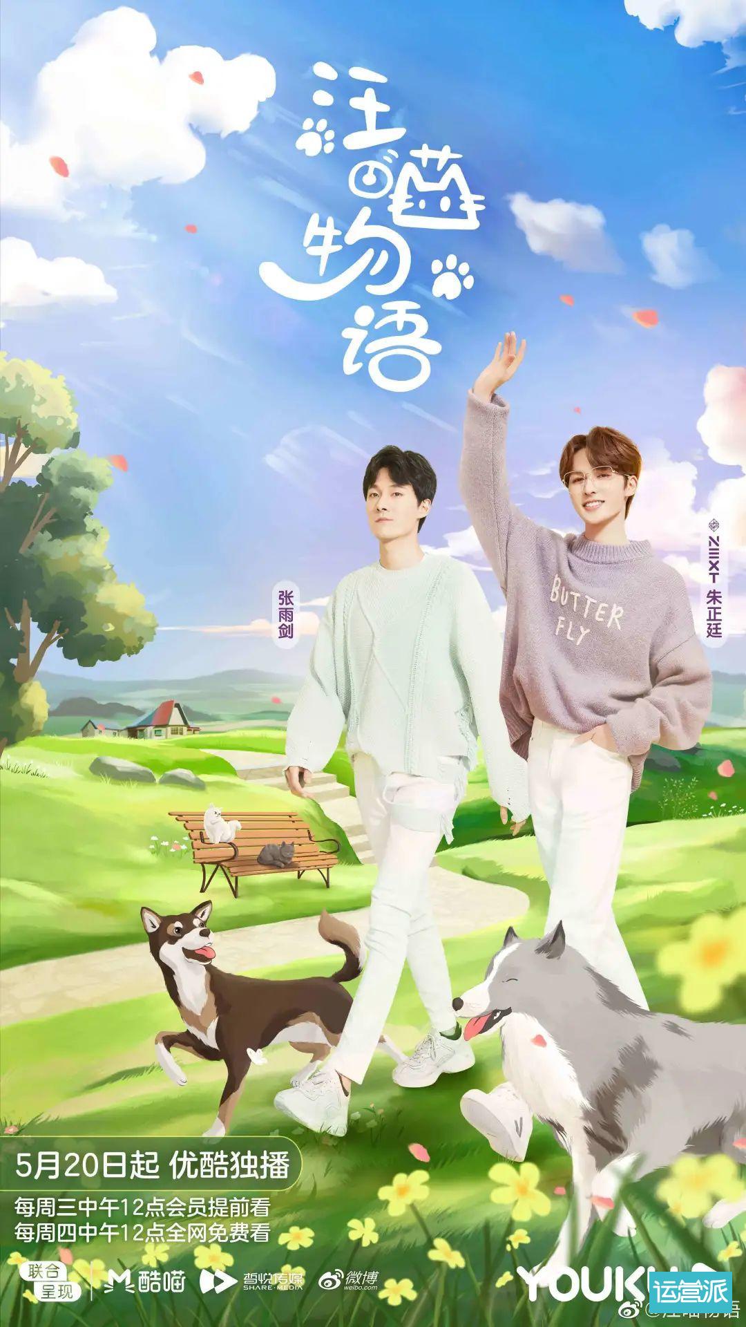 铲屎官必看的《汪喵物语》，海报文案超治愈！