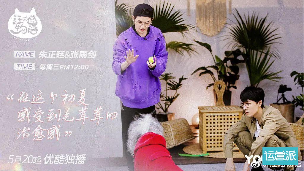 铲屎官必看的《汪喵物语》，海报文案超治愈！