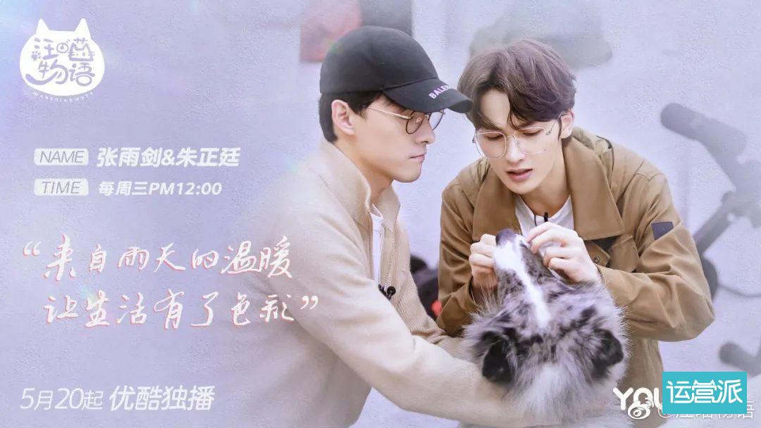 铲屎官必看的《汪喵物语》，海报文案超治愈！