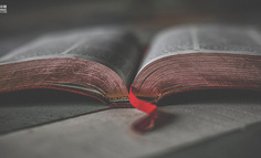 禅宗大智慧与创新力的底层逻辑