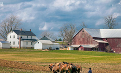 互联网的共同富裕，或将走向田间地头