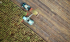 传统农业什么时候能入选灯塔工厂？