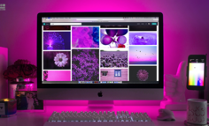 雪梨争第一，难点不是“薇琦”