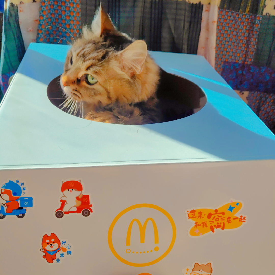 饿了么超级限定x麦当劳：用猫抓住年轻人
