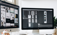 那些违反商业常识的新消费品牌，可能才是未来