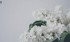 賣菜的為什么連鮮花都不放過？