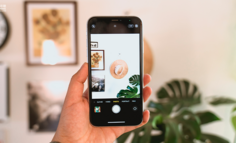 美团推出种草产品“珍箱”