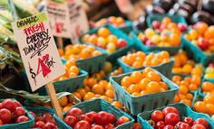 O2O 生鲜 SaaS 创业记·客户篇（二）