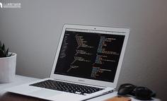 冲进网文搞钱的年轻人：报培训班、脑补恋爱、收入为零