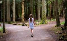 不要做追逐风口的猪