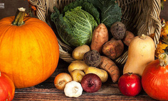 社区团购下半场「竞速」？