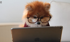 周杰伦直播破纪录，1.1亿粉丝挤进快手