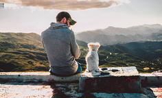 观望3年，准备7个月，我在湾区做了一个宠物训练App