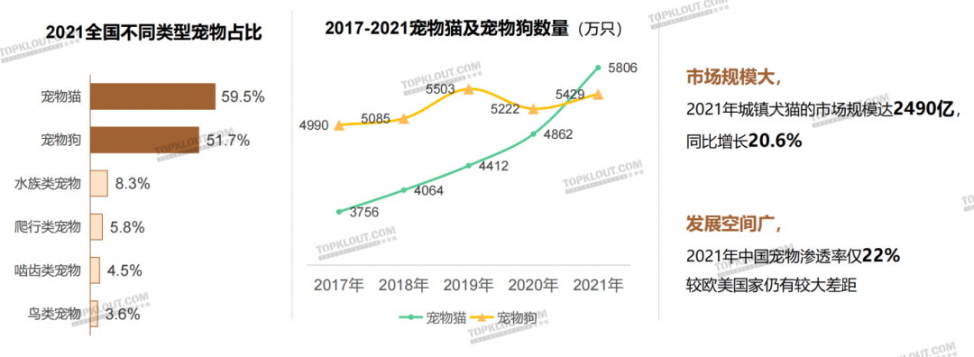 养“娃”囤粮，年轻人的“萌宠依赖”创造营销新空间｜年轻人生活消费观察系列