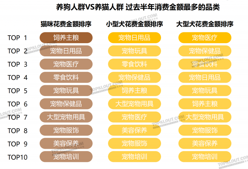 养“娃”囤粮，年轻人的“萌宠依赖”创造营销新空间｜年轻人生活消费观察系列