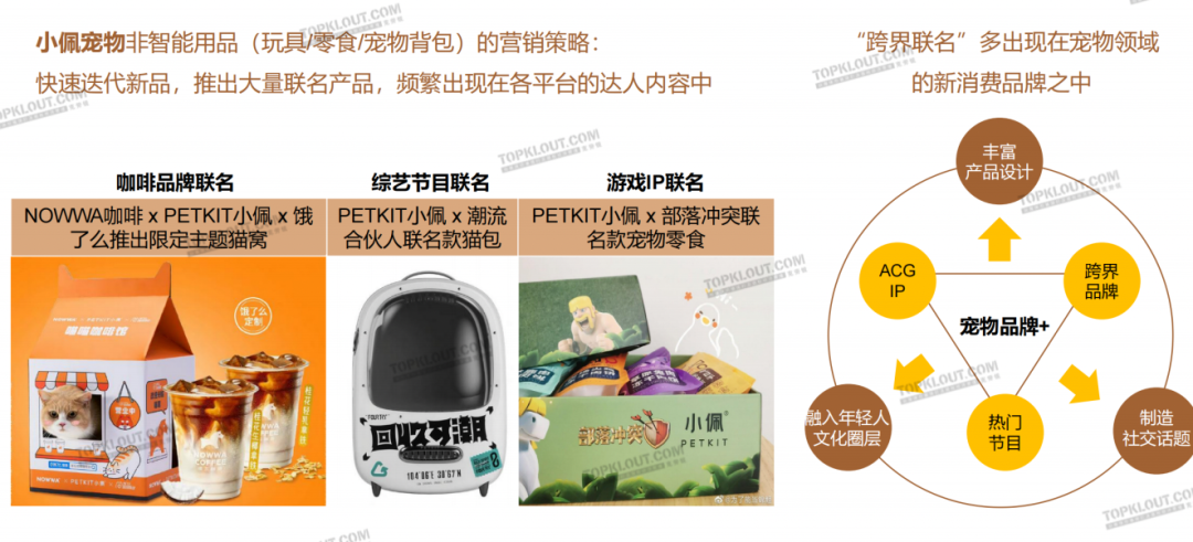 养“娃”囤粮，年轻人的“萌宠依赖”创造营销新空间｜年轻人生活消费观察系列