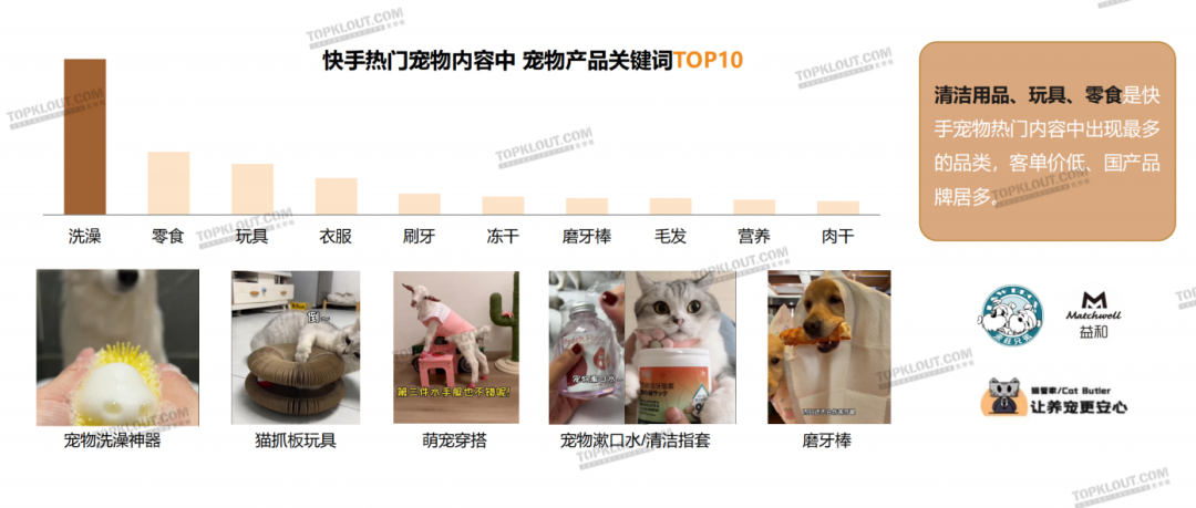 养“娃”囤粮，年轻人的“萌宠依赖”创造营销新空间｜年轻人生活消费观察系列
