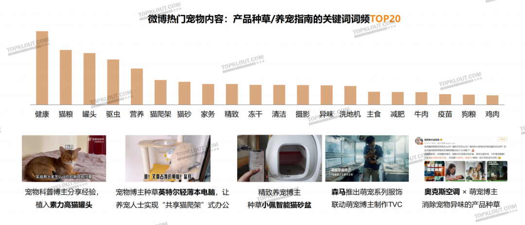 养“娃”囤粮，年轻人的“萌宠依赖”创造营销新空间｜年轻人生活消费观察系列