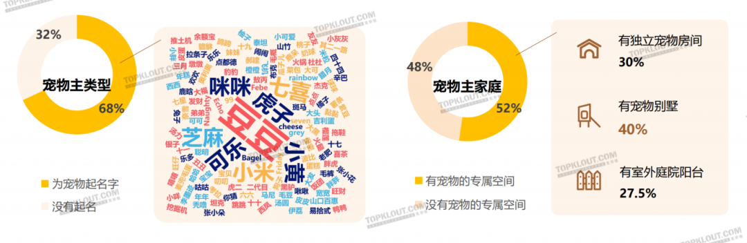 养“娃”囤粮，年轻人的“萌宠依赖”创造营销新空间｜年轻人生活消费观察系列