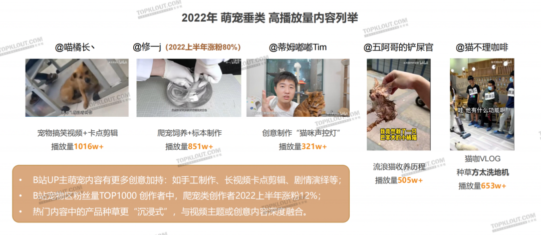 养“娃”囤粮，年轻人的“萌宠依赖”创造营销新空间｜年轻人生活消费观察系列