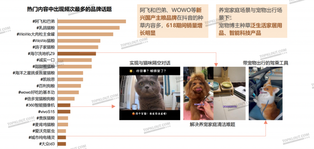养“娃”囤粮，年轻人的“萌宠依赖”创造营销新空间｜年轻人生活消费观察系列