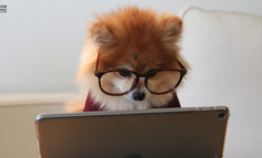 「它经济」时代下的八个消费趋势