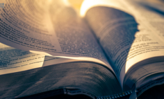 身为 ChatGPT 概念股，知乎却想做下一个晋江？