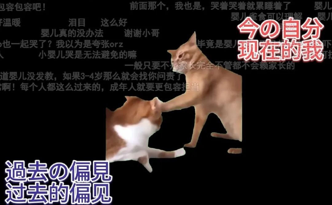 7天B站涨粉20万，“猫meme”为何风靡全网？