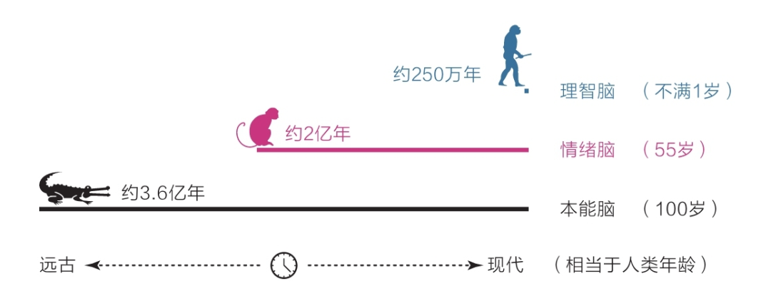 100種分析思維模型之：黃金圈思維