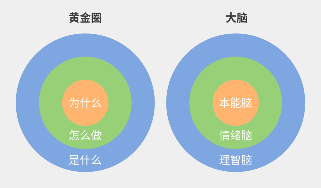 100種分析思維模型之：黃金圈思維