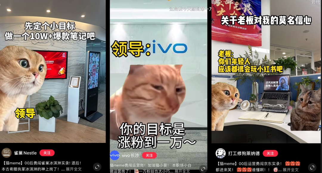 猫meme走红，赛博时代的“情绪消化剂”