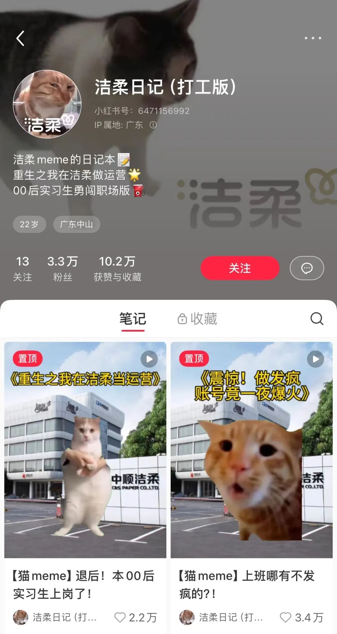 猫meme走红，赛博时代的“情绪消化剂”