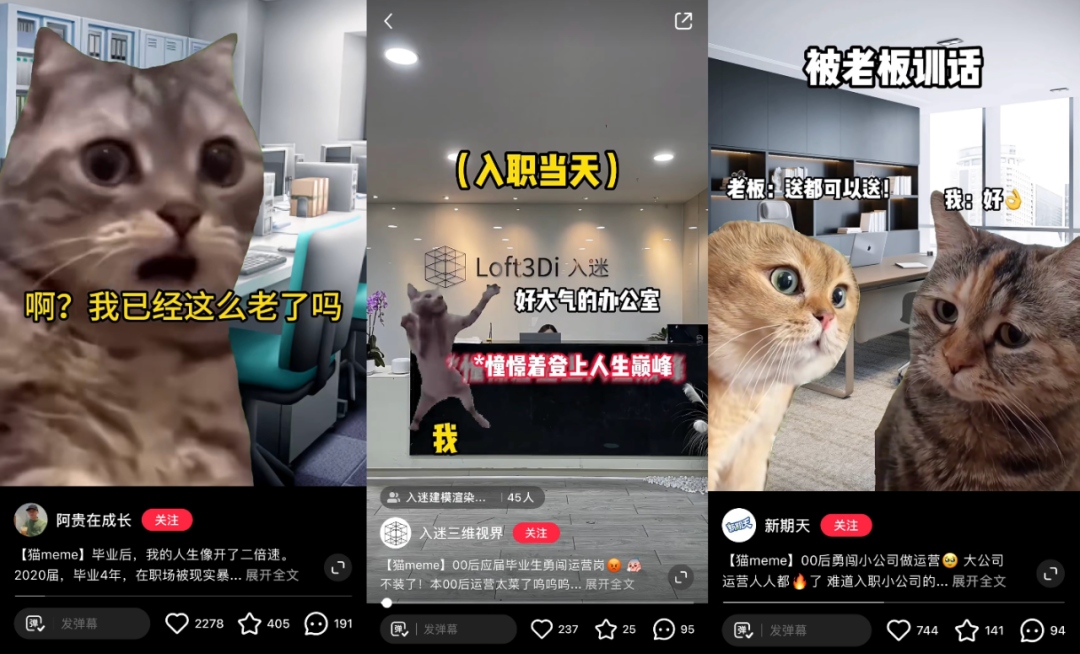 猫meme走红，赛博时代的“情绪消化剂”