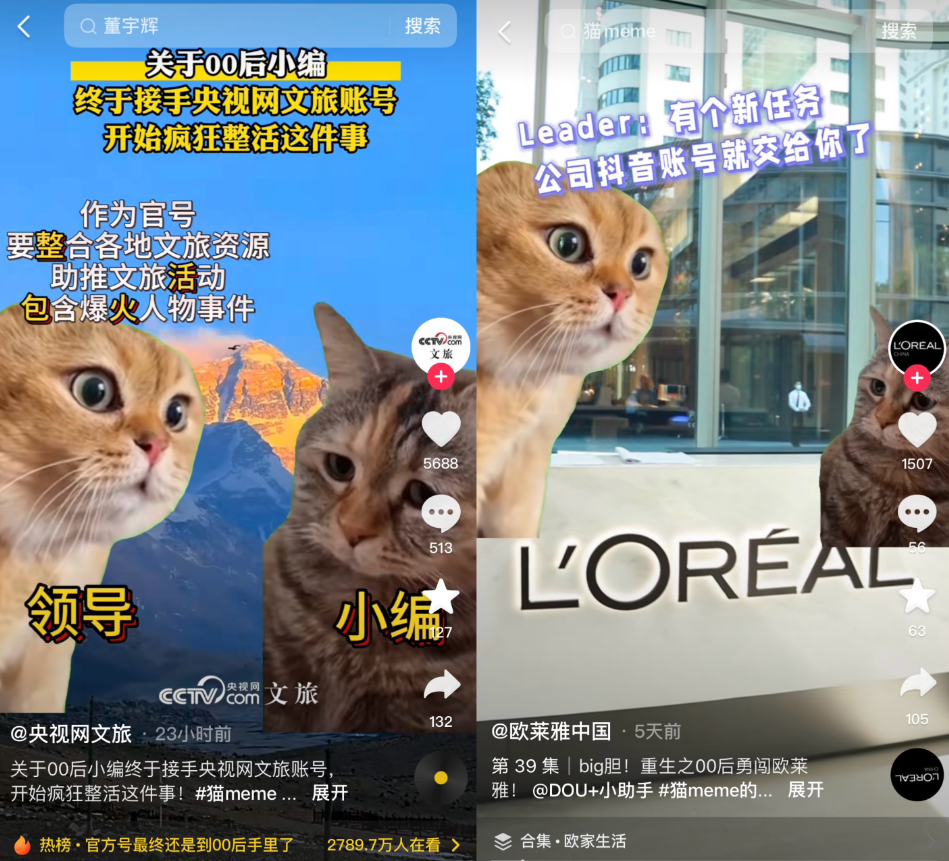 猫meme走红，赛博时代的“情绪消化剂”