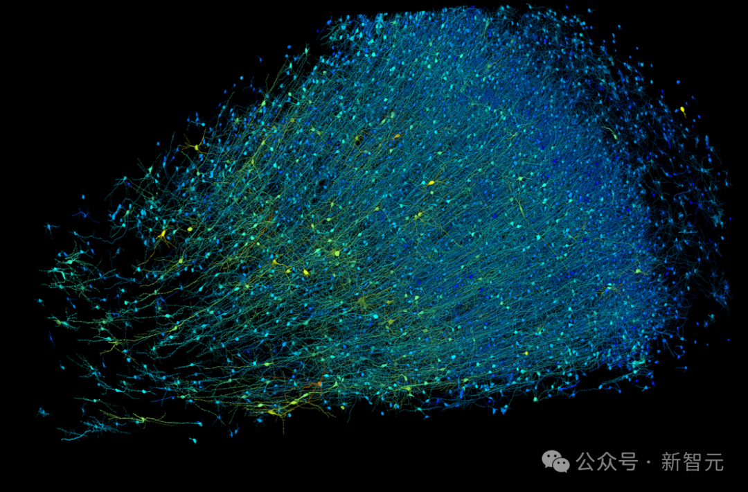 十年磨一「图」，谷歌震撼发布纳米级人脑图谱！AI加持人类大脑研究