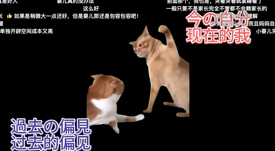 猫meme走红，赛博时代的“情绪消化剂”