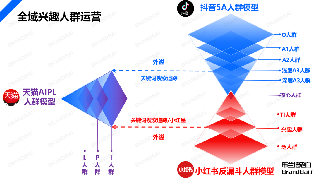 品牌线上增长闭环：抖音破圈，红书卡位，货架承接。