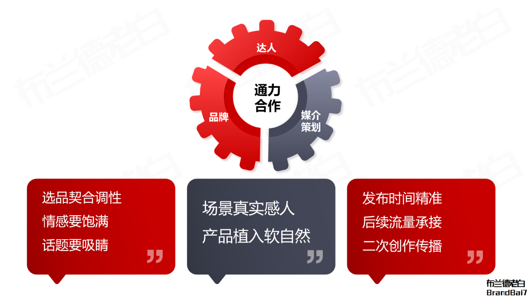 一条视频引爆涨停潮，解密超级达人白冰的商业价值。