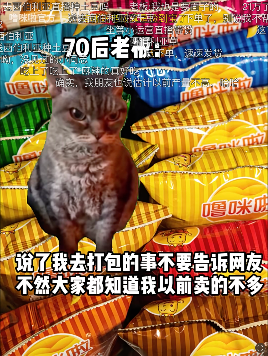 刷屏的猫meme营销：中小企业的挣扎与抵抗