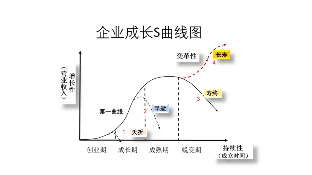 1个原理解释：企业如何打造新质生产力？