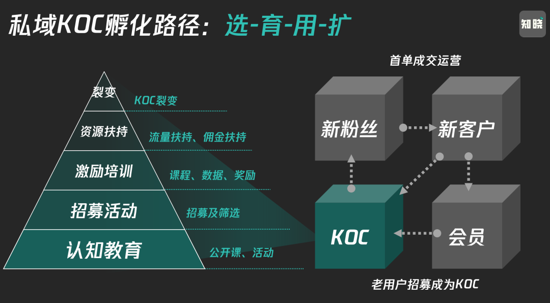 1万字讲透私域KOC体系，爆改全域运营思路